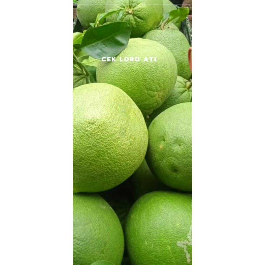 pamelo