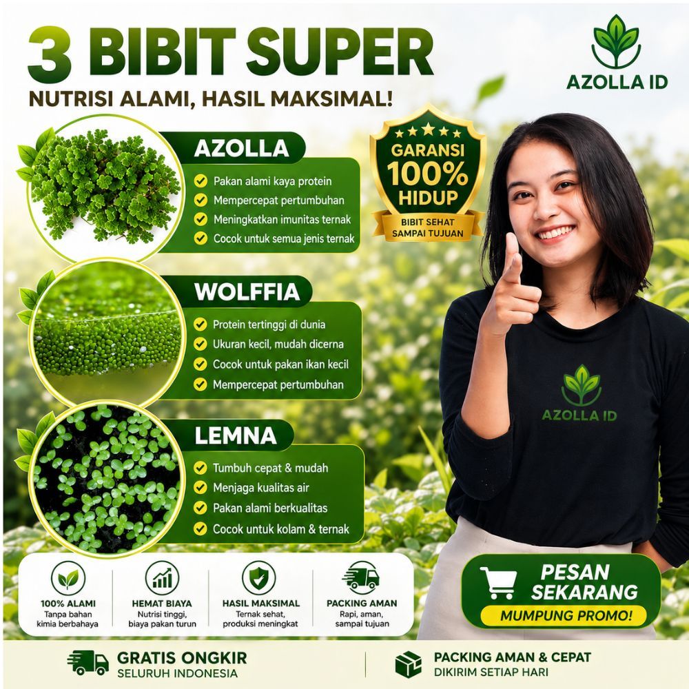 Wolffia 500gram, Azolla 250gram Lemna 50gram