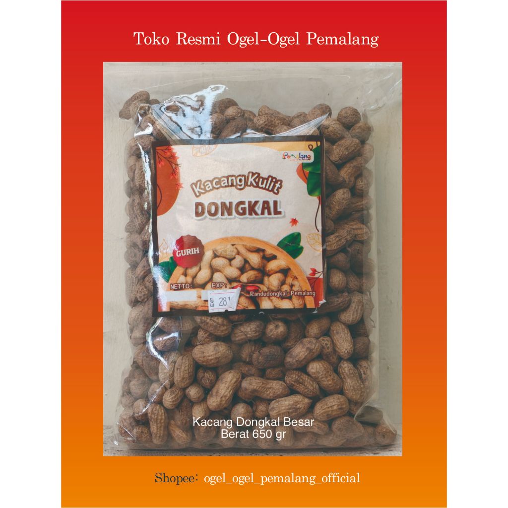 Kacang Dongkal Pemalang Besar