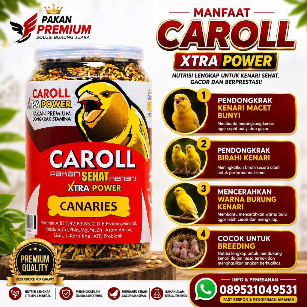 CAROLL PAKAN KENARI MACET PAKAN KENARI DROP MENTAL PAKAN PENGGACOR BURUNG KENARI