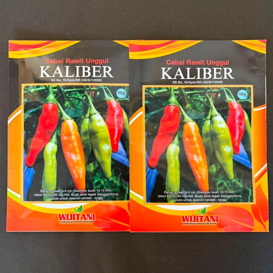 Benih Cabe Rawit Kaliber 10g Produktivitas Tinggi Buah Merah Menyala