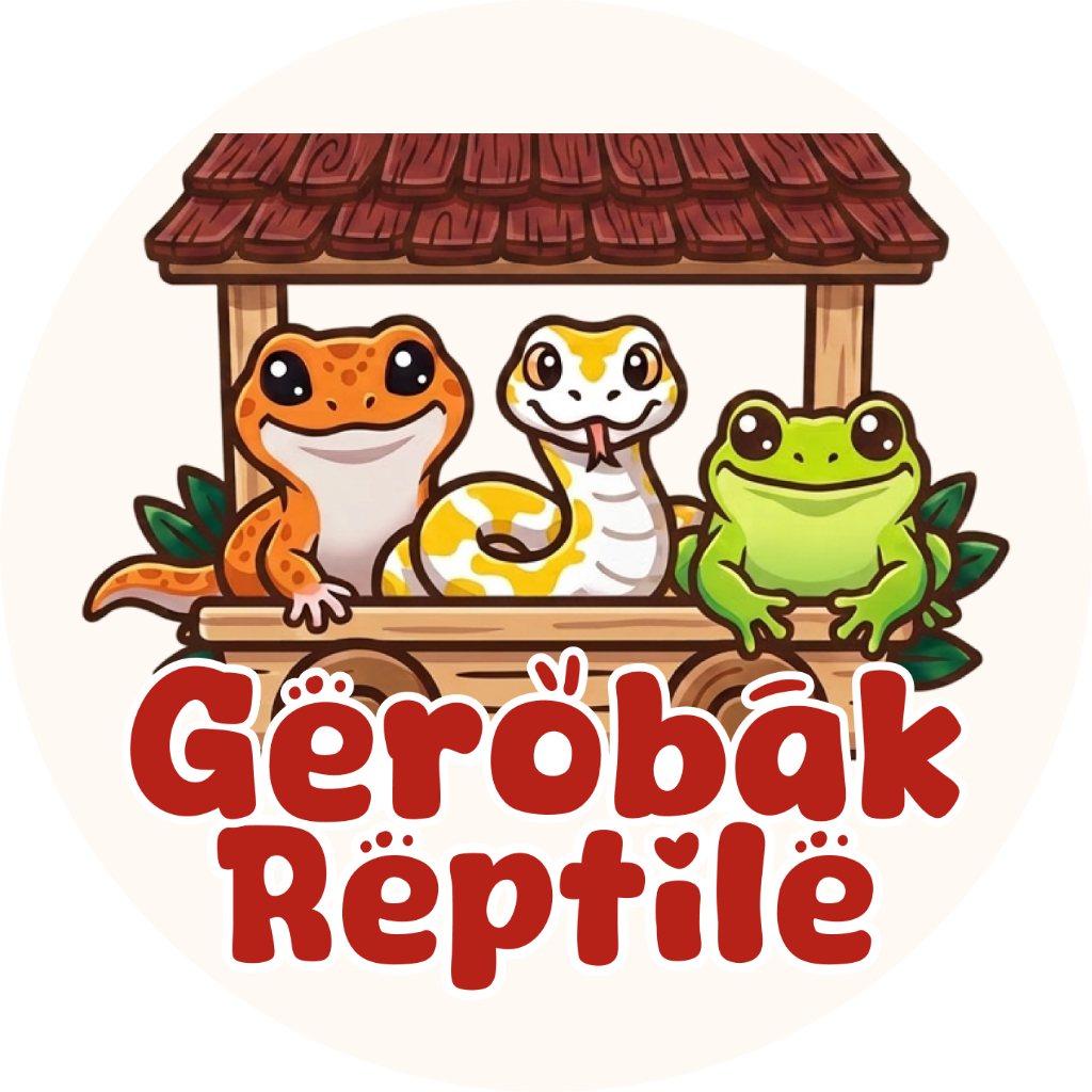 Mainan Gecko Murah - Mulus Data Lengkap Jinak