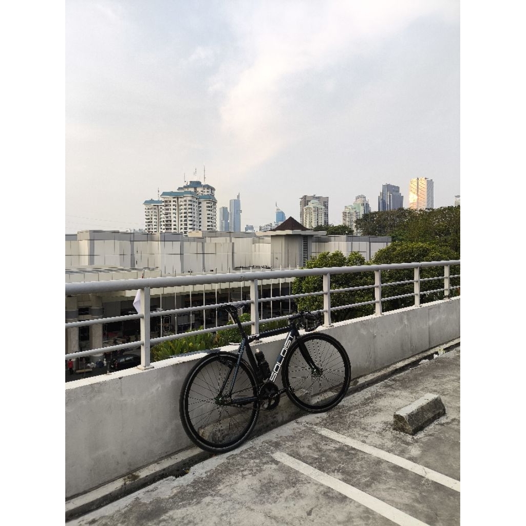 Frameset soloist 79