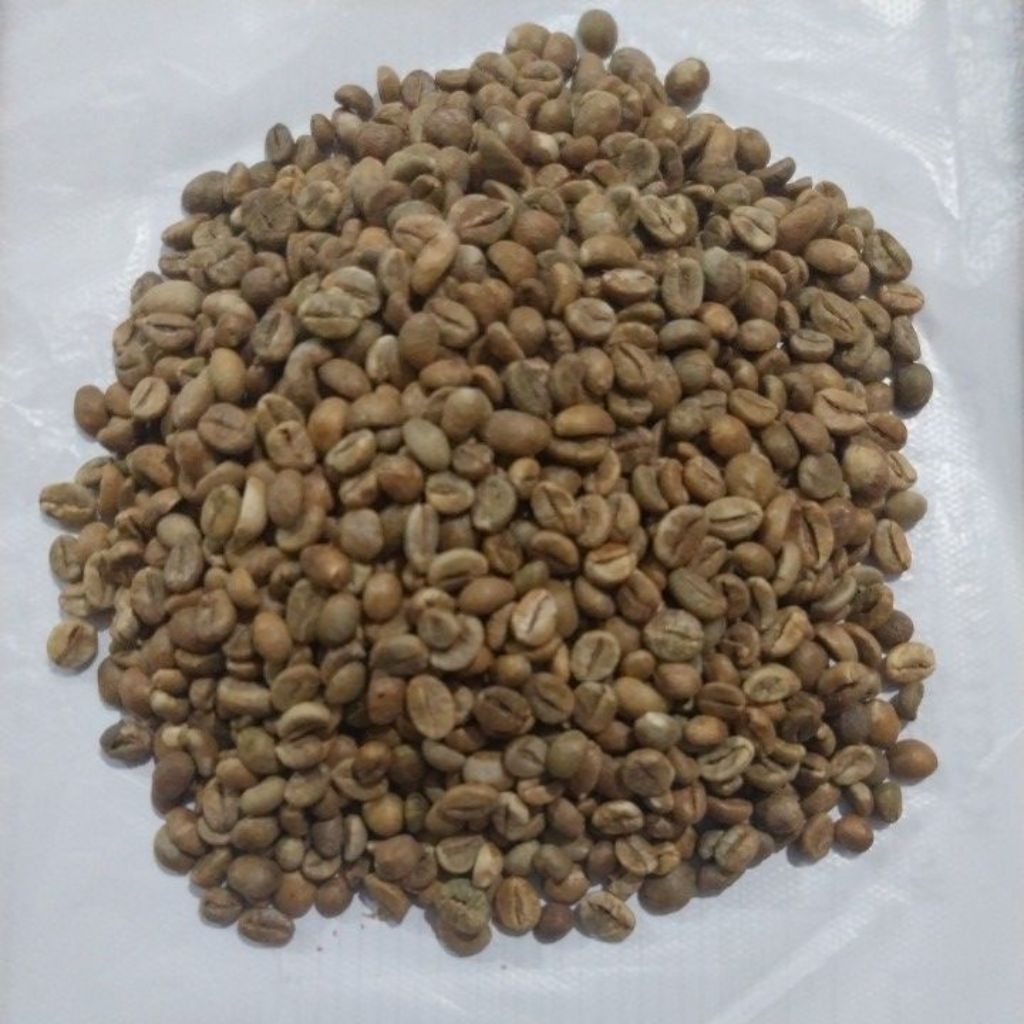 Green bean Fine Robusta Kerinci