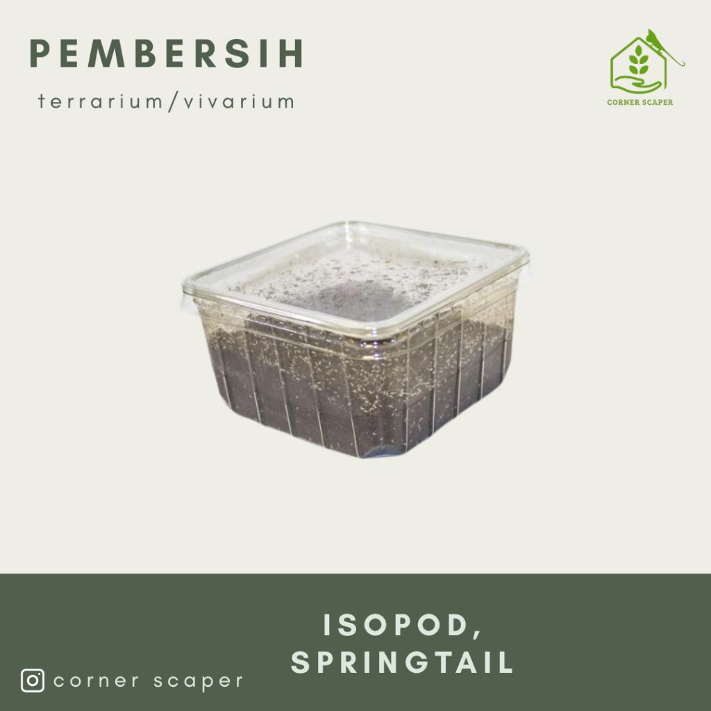 pembersih terrarium vivarium lengkap