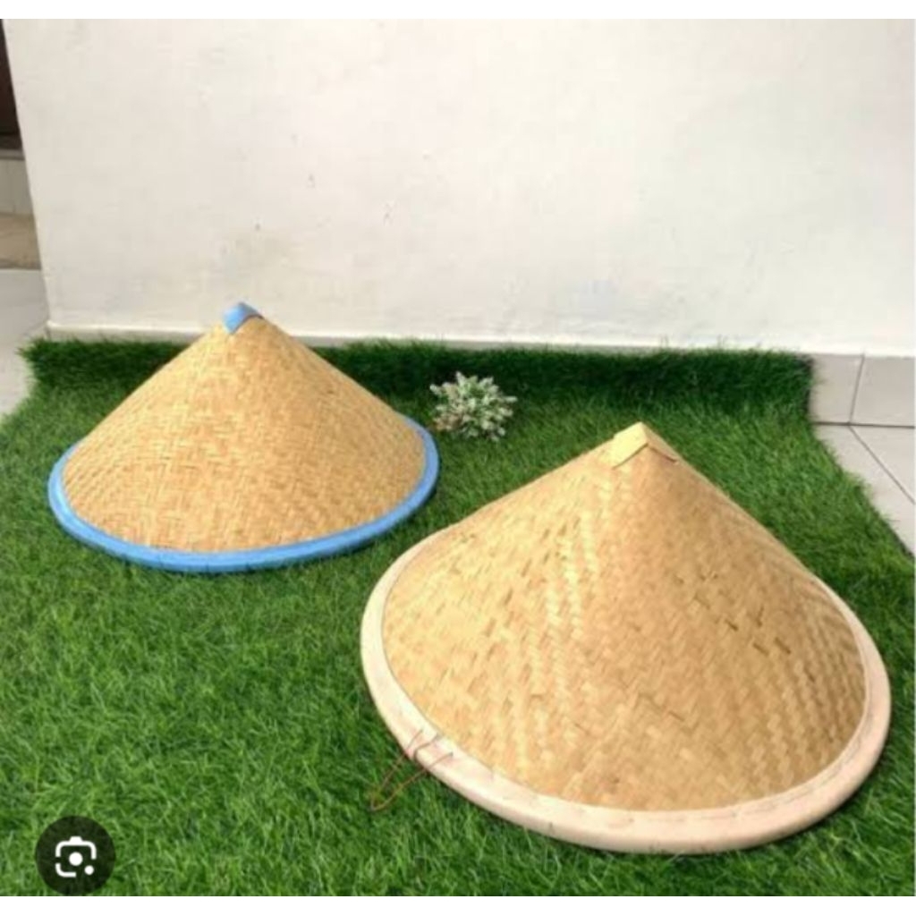 CAPIL TANI