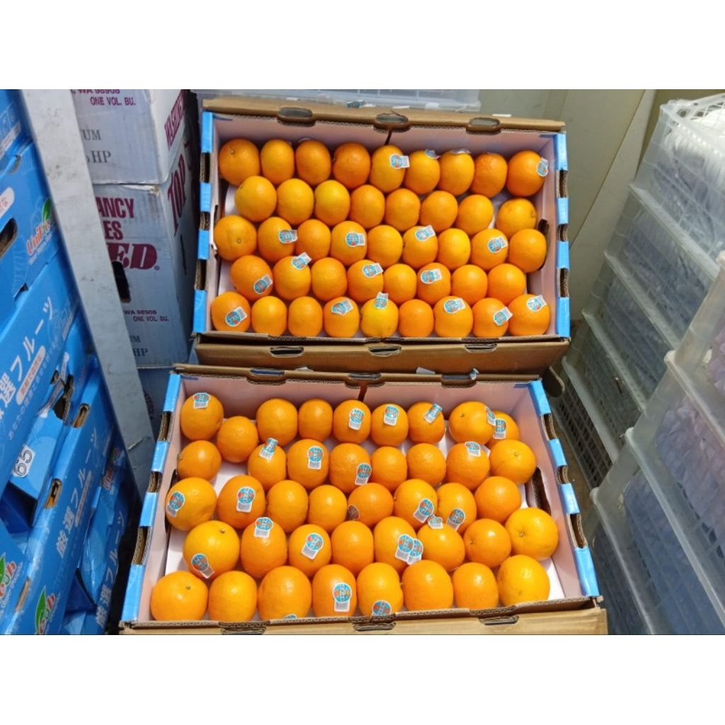 Jeruk Wokam Mandarin/Kg
