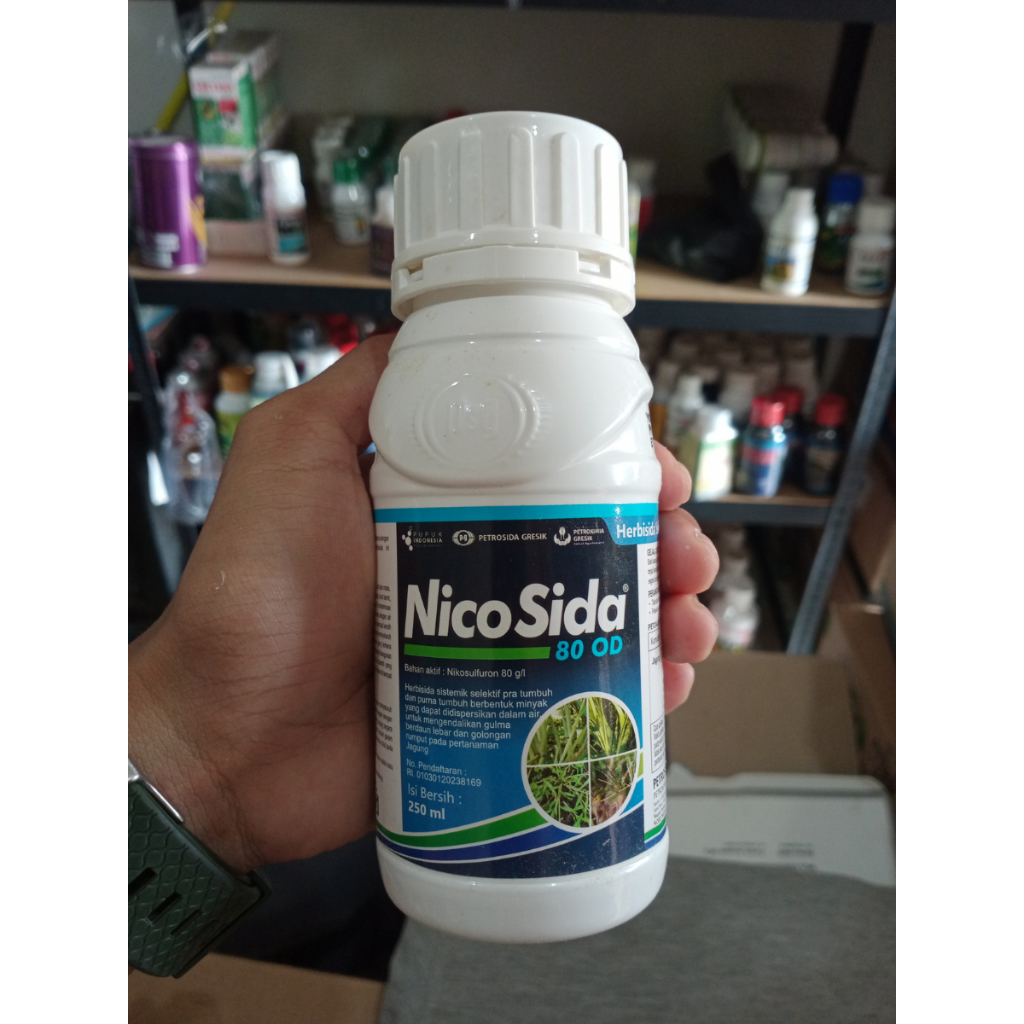NICOSIDA Herbisida Sistemik & Selektif