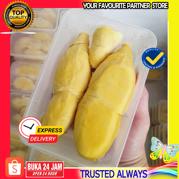 CIREBON Durian Montong Palu Duren Kupas Manis Legit dan Berkualitas Premium