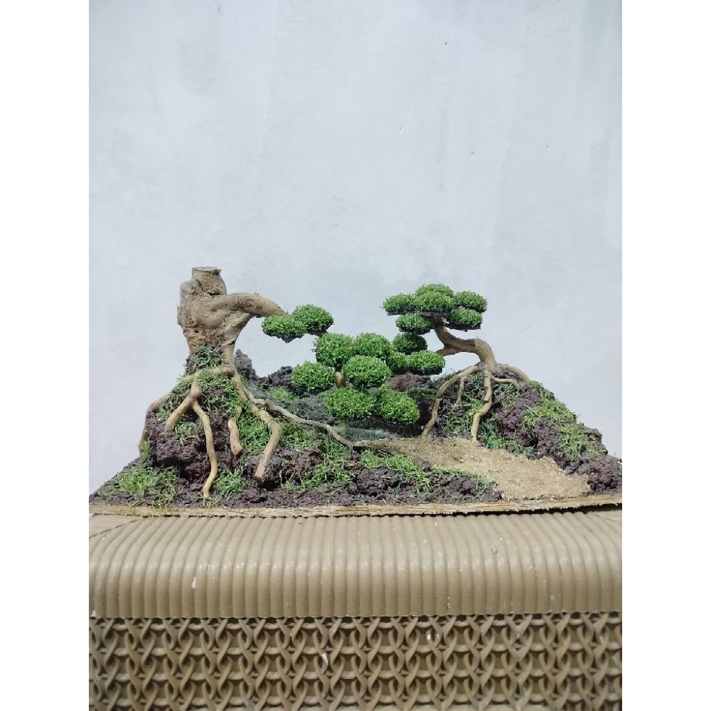 hardscape aquascape, bonsai aquascape