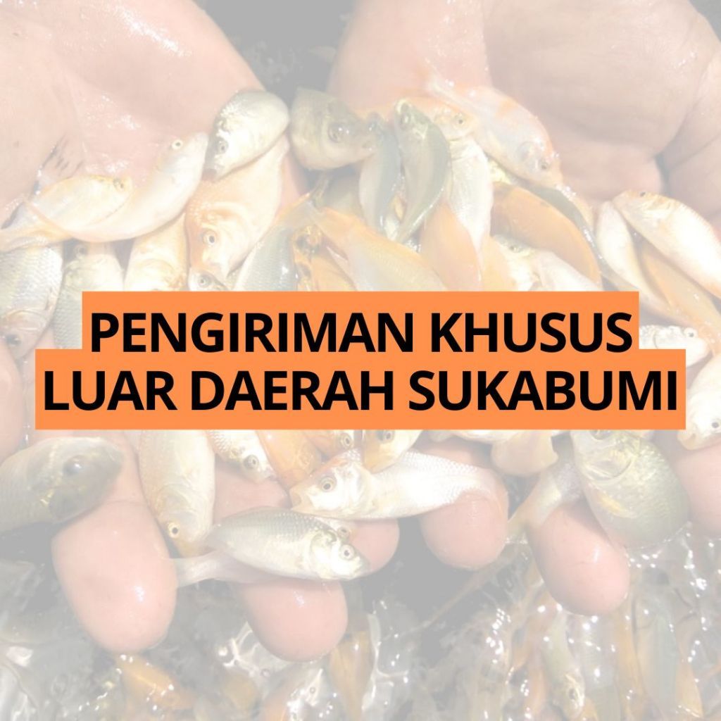 Pakan Ikan Predator / Makanan Ikan Predator