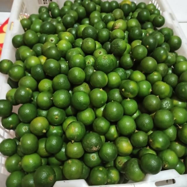 READY JERUK KUNCI/JERUK SONKIT/LEMON CUI/JERUK KASTURI/JERUK KALAMANASI/JERUK PONTIANAK PER 500GR
