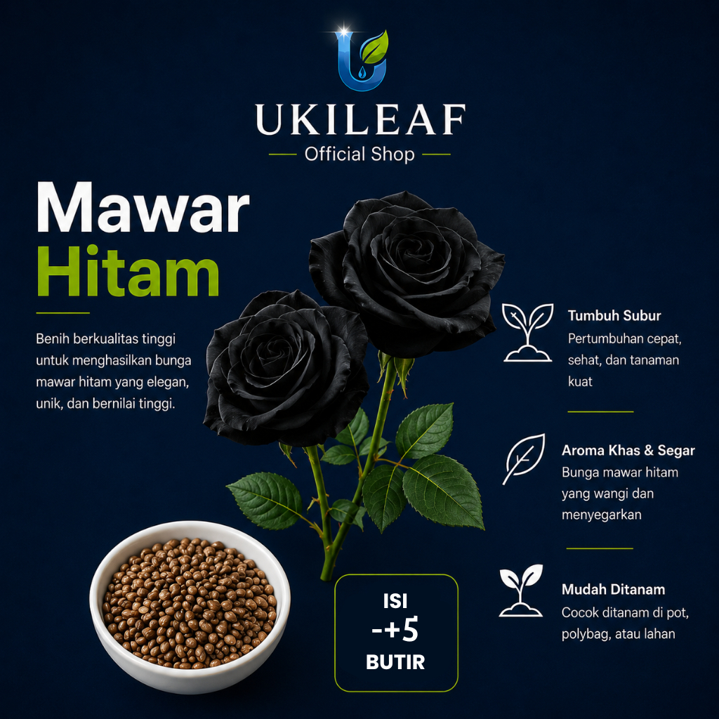 ( 5 Butir ) Benih Biji Bunga Mawar Hitam | Mawar Mix | Mawar Rambat | UKILEAF