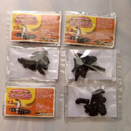 Empedu Ular Cobra Asli Ibu Aminah Mengobati Asma