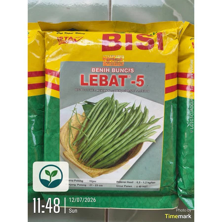 PROMO Benih Buncis Lebat -5 (500gr) bisa COD