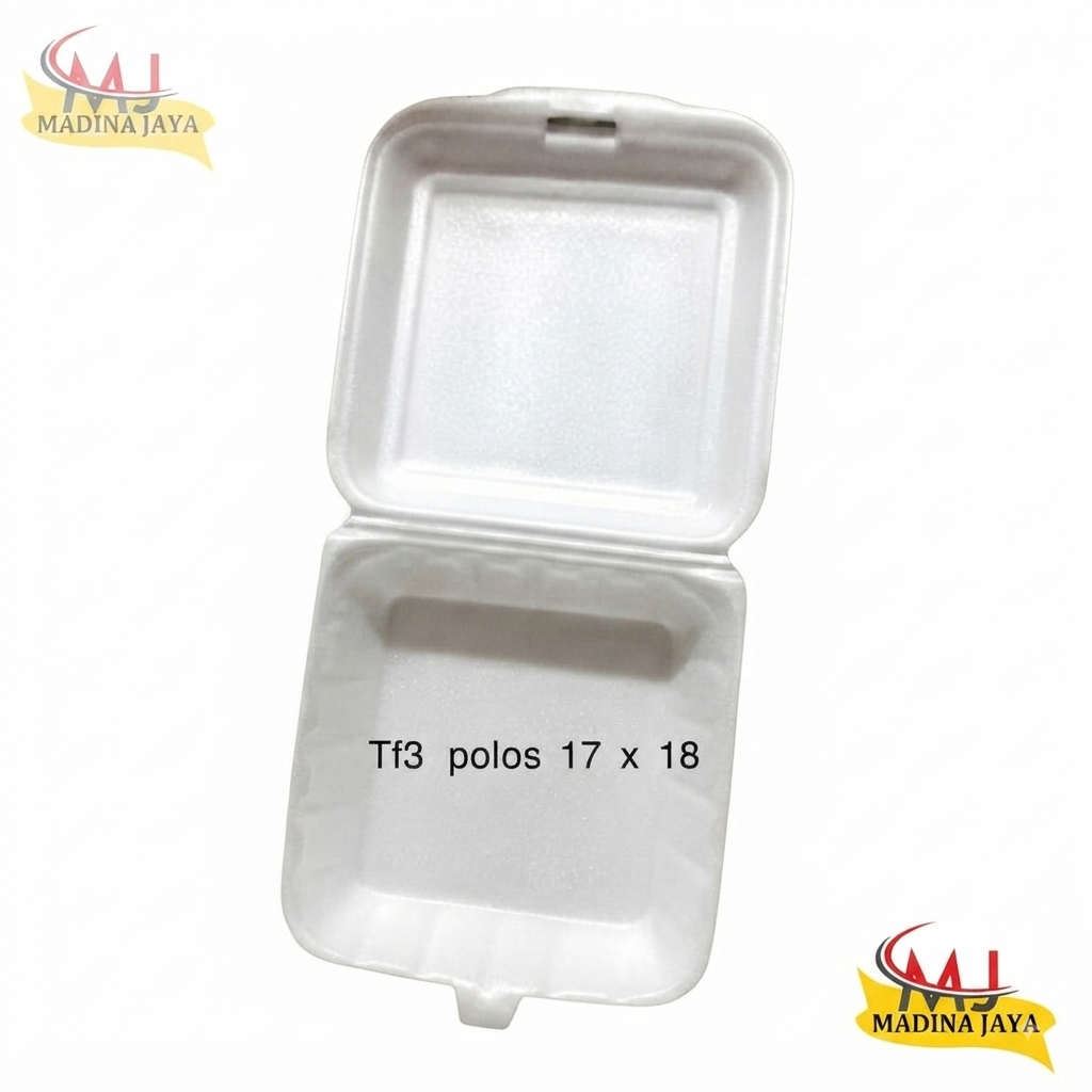 Styrofoam Gabus 100 Pcs Kotak Makan FOAM