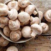 GROSIR HORECA Jamur Kancing 1 - 5 kg : Siap Kirim Langsung Fresh Champignon White Button Mushroom