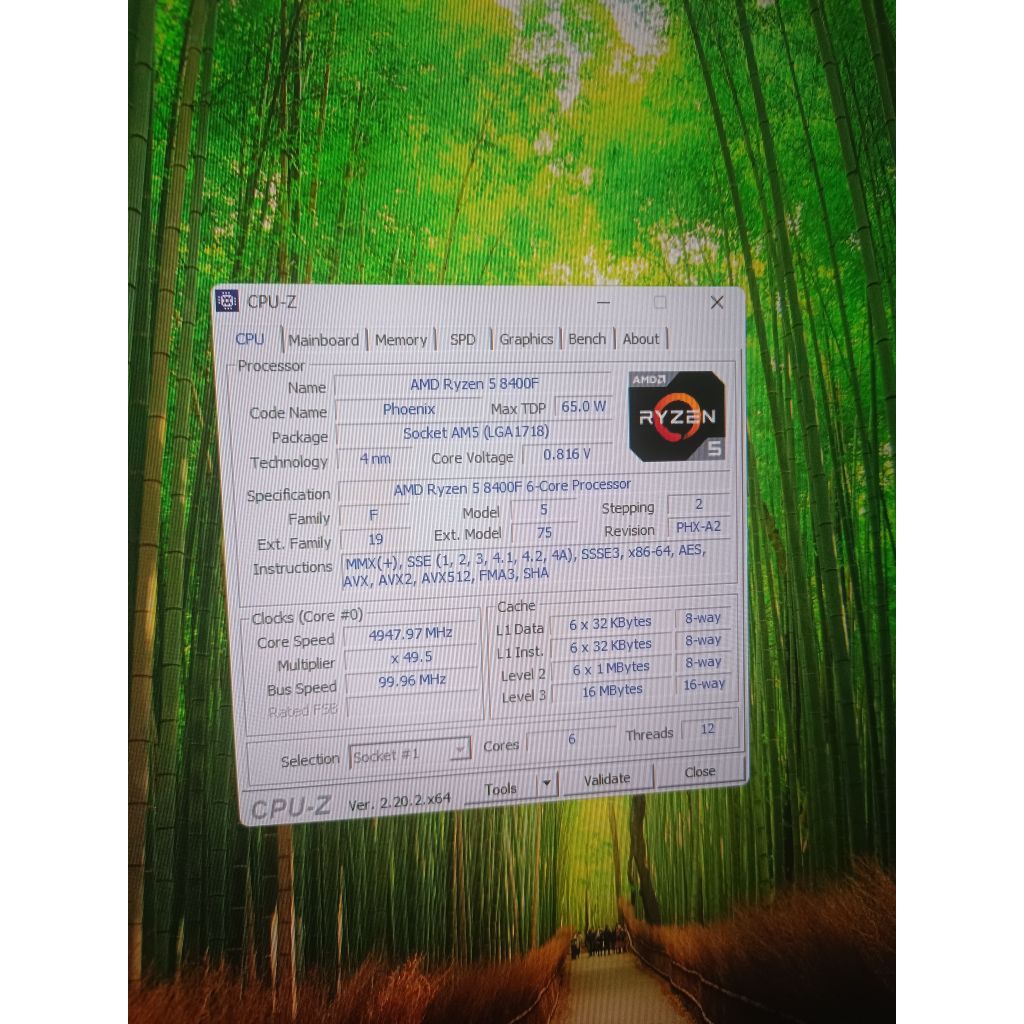 AMD RYZEN 5 8400F TRAY 2nd (bekas)