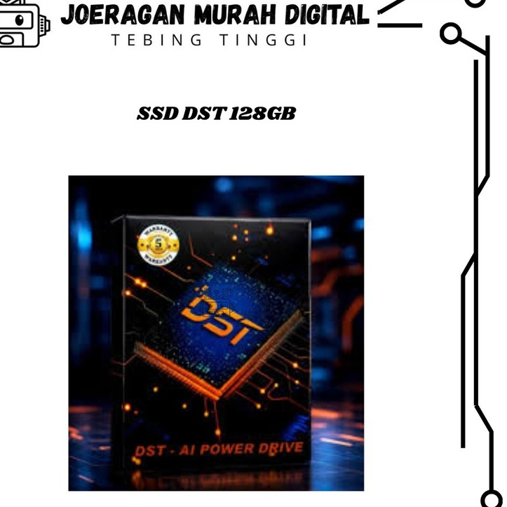 SSD SATA DST 128GB