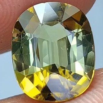 Natural Bicolor Tourmaline 3.50 ct 11x9mm Bicolor Tourmaline Yellow Green