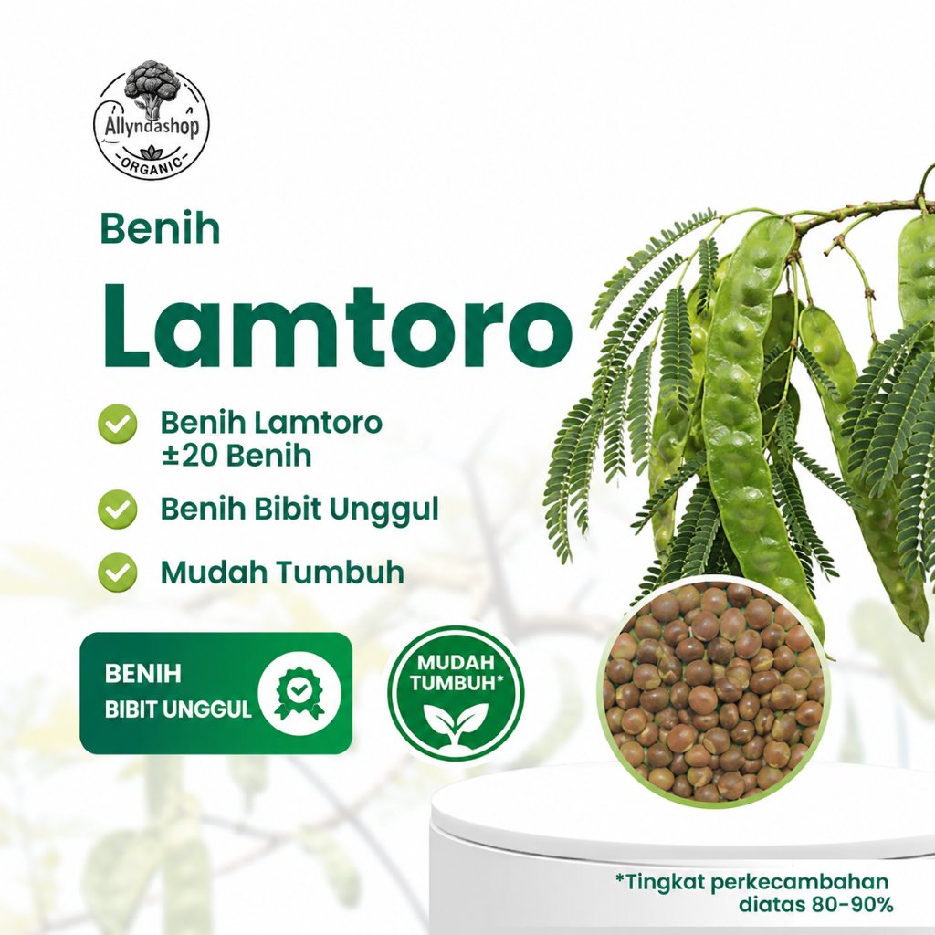 Benih Lamtoro Unggul | Bibit Tanaman Lamtoro Mudah Tumbuh