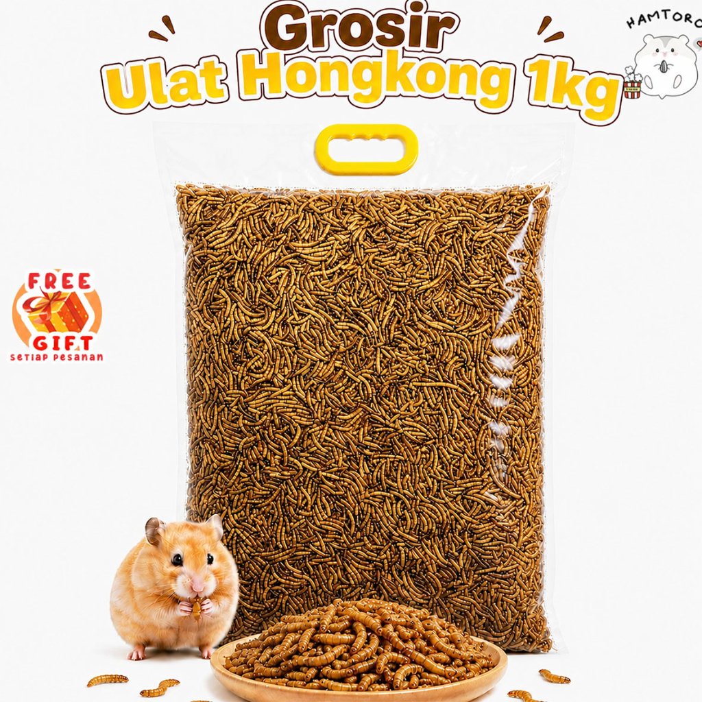 Hamtoro Ulat Hongkong Kering 1kg Grosir Pakan Extra Fooding Hamster Sugar Glider Landak Mini Burung 