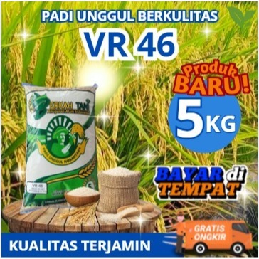 benih Padi VR 46 5kg