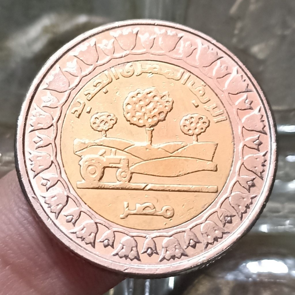 Koin Kuno Mesir 1 Pound New Egyptian Countryside