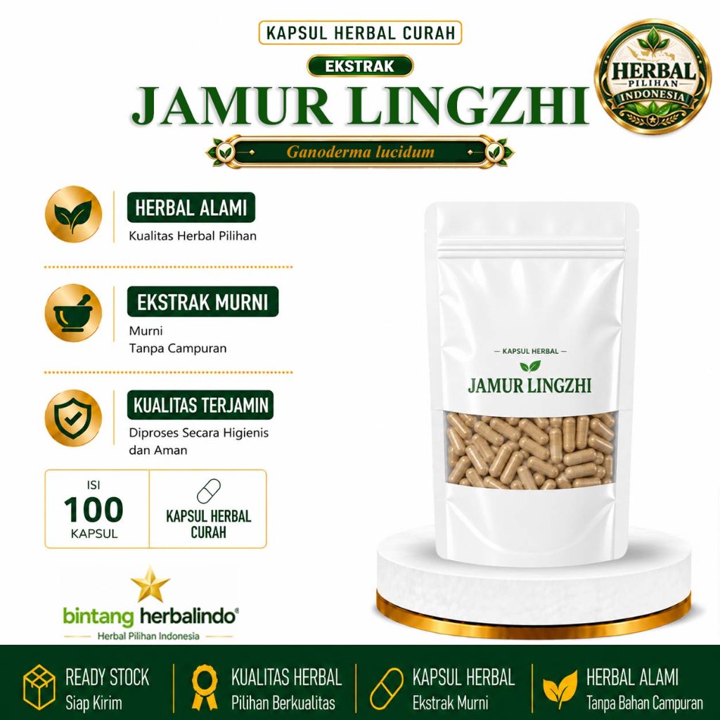 Jamur Lingzhi Reishi Ekstrak Herbal Kapsul Curah 100 Kapsul 600 mg Ganoderma lucidum