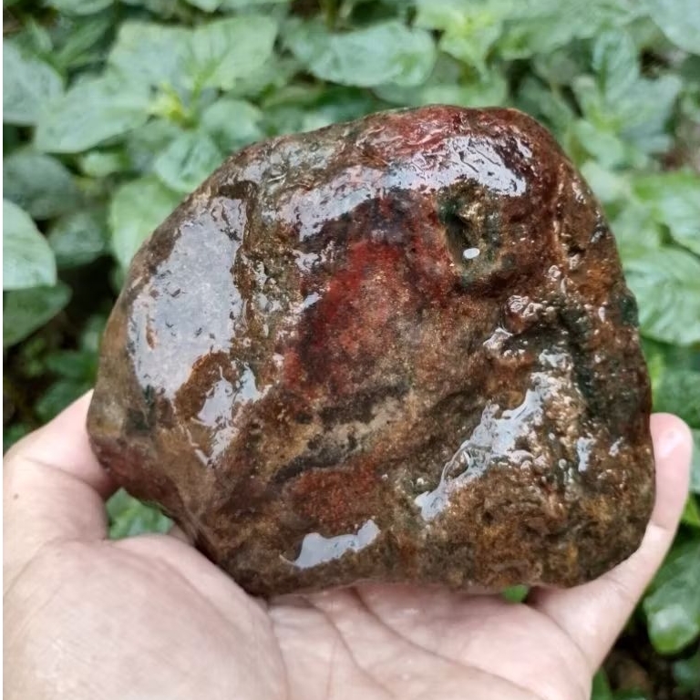 Batu akik pancawarna klawing