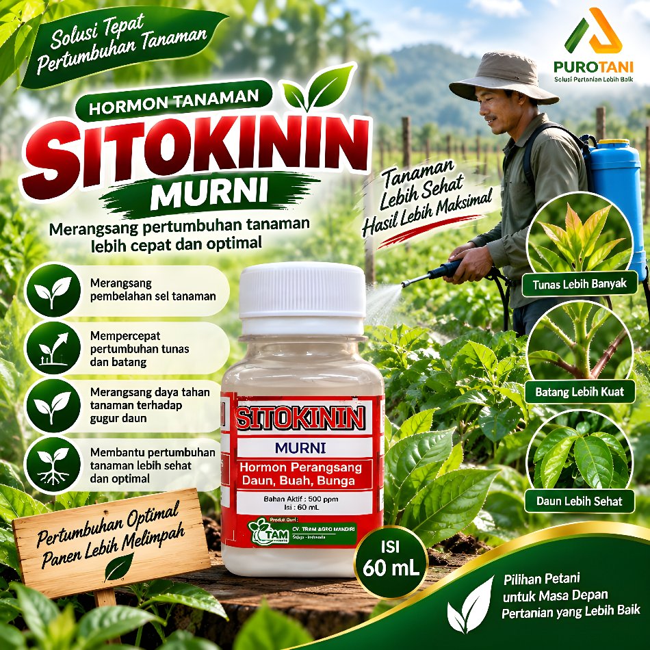 Hormon Sitokinin Murni ZPT Batang Dan Daun
