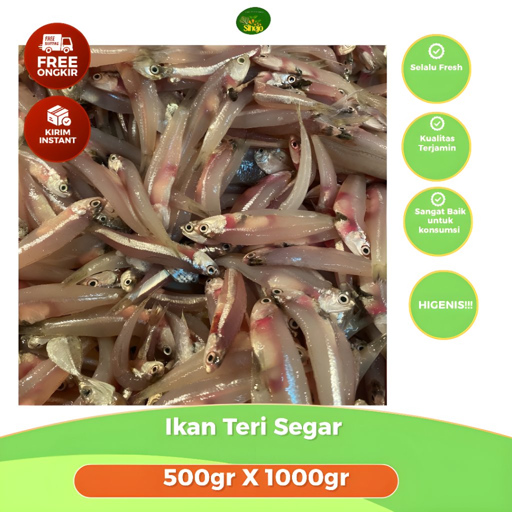 Ikan Teri Segar Bandung