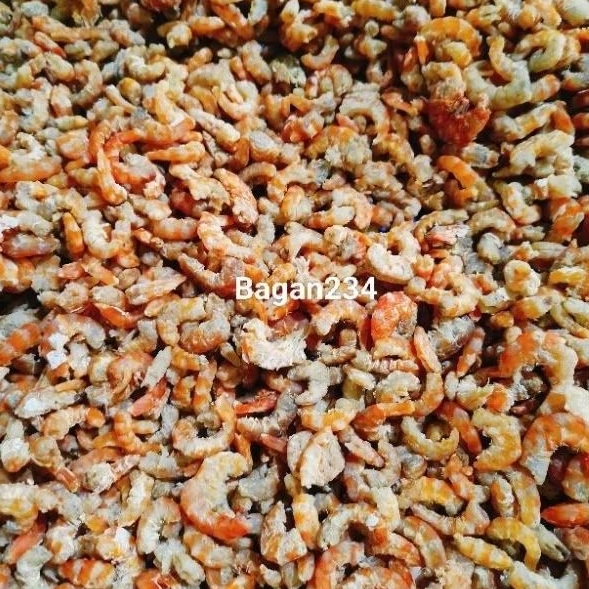 hebi ebi udang merah besar 500gram khas bagan tuapa sinaboi / kering segar kupas kulit bagansiapiapi