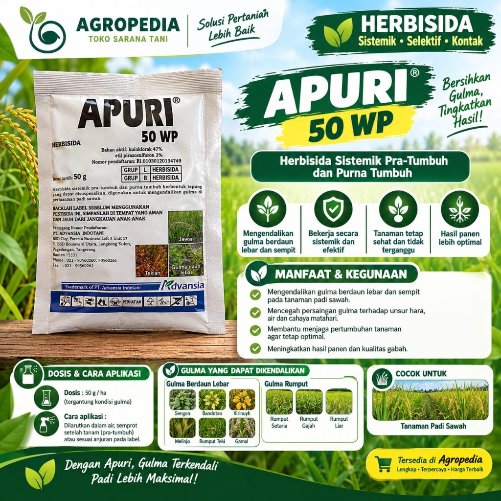 Herbisida padi  Sistemik  APURI 50 WP @50 gr -  Untuk Rumput Jawan, teki tekian dan semanggi
