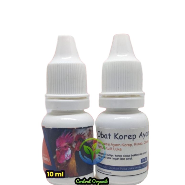 Obat Korep Ayam Bangkok Alami Paling Ampuh