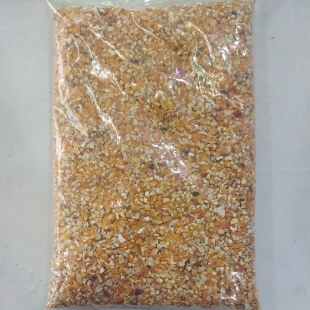 jagung pecah 1kg pakan ayam pakan hewan