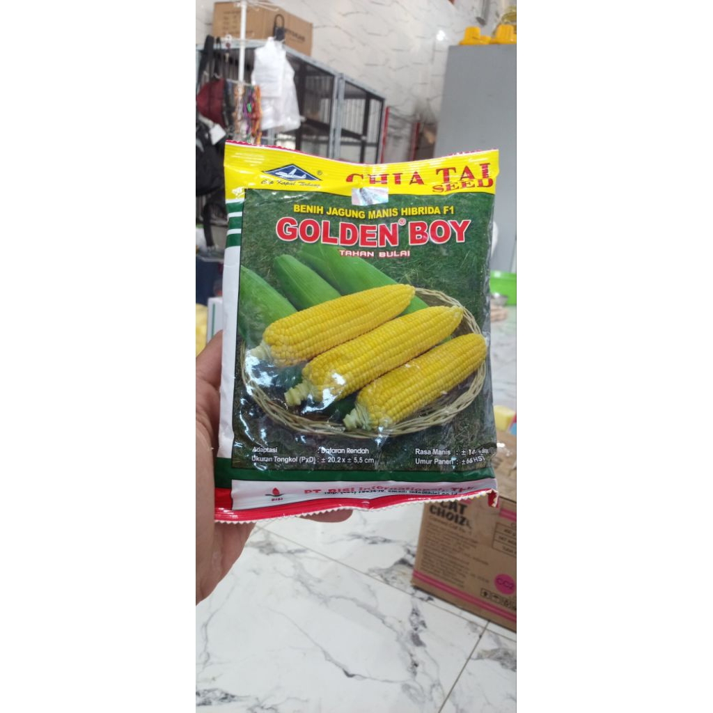 

jagung manis golden boy 250 gram hibrida F1 potensi bertongkol 2 tahan bulai EXP 03-26