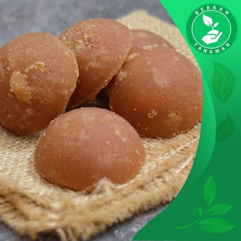 

Gula Kelapa Batok Organik 1kg