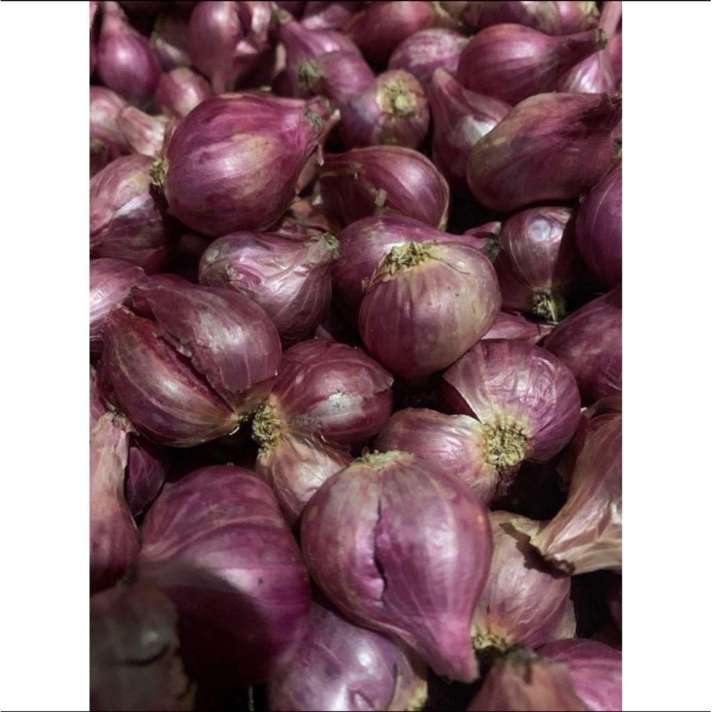 

Bawang Merah lokal Nganjuk size Tanggung kemasan 1000gr