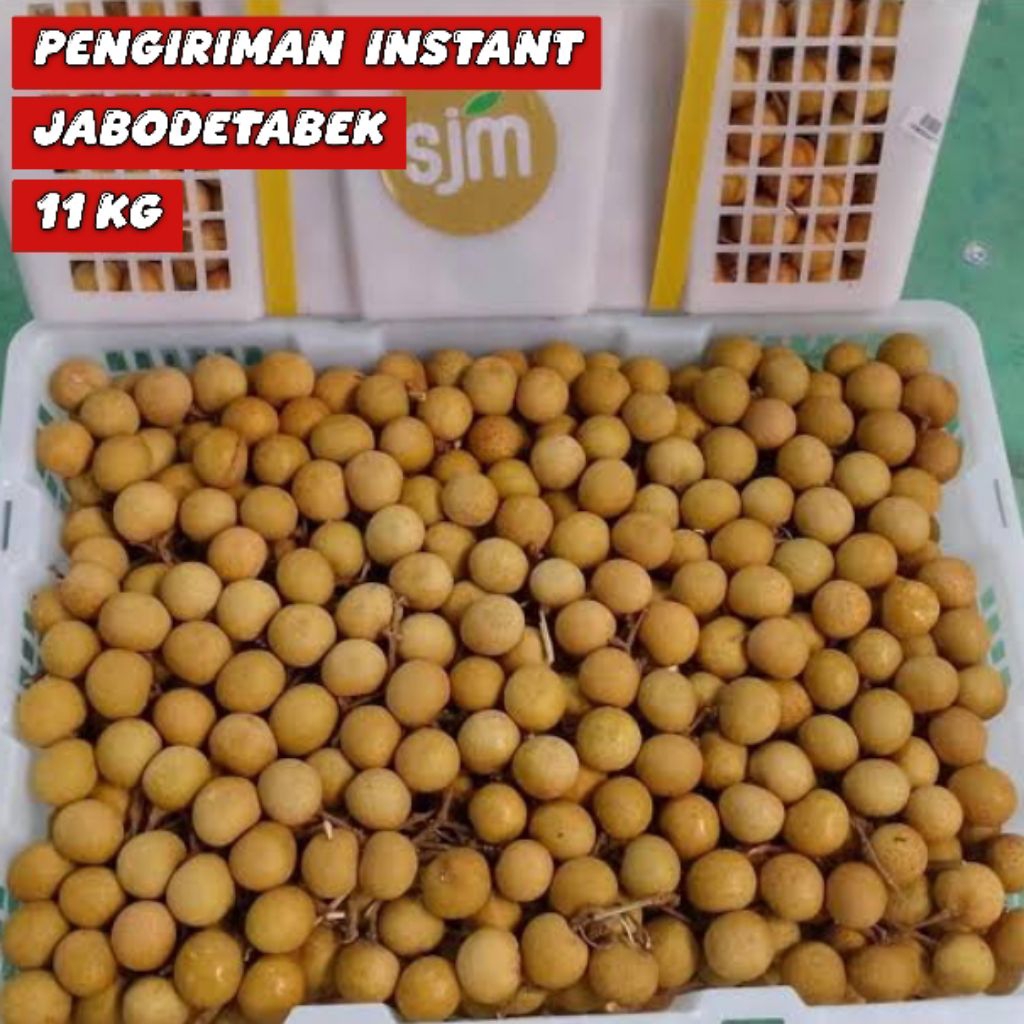 

BUAH LENGKENG 1 KERANJANG 11KG FRESH INSTANT HARI INI / KLENGKENG 1 KERANJANG / KELENGKENG 1 KERANJANG INSTANT 2 JAM