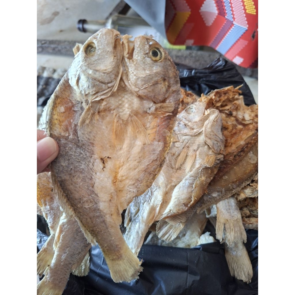 

ikan asin kepala batu, ikan asin air tawar