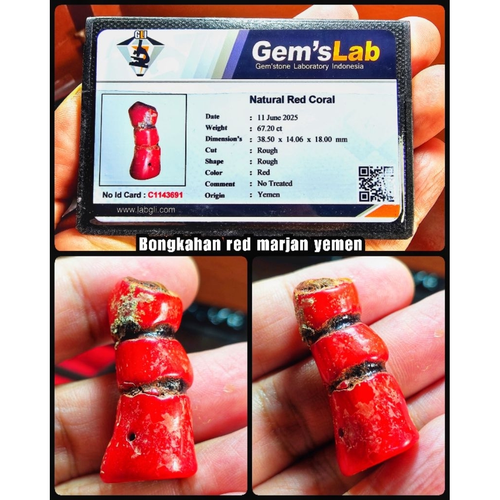 ori 100% bongkahan batu marjan merah jumbo asli laut merah