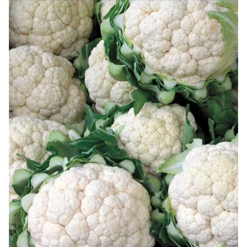 

Bunga kol | Kembang kol segar - Andira Fresh