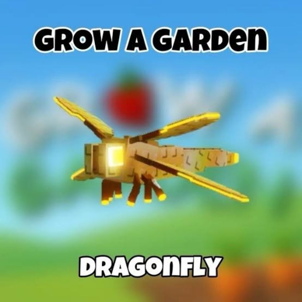 DRAGONFLY