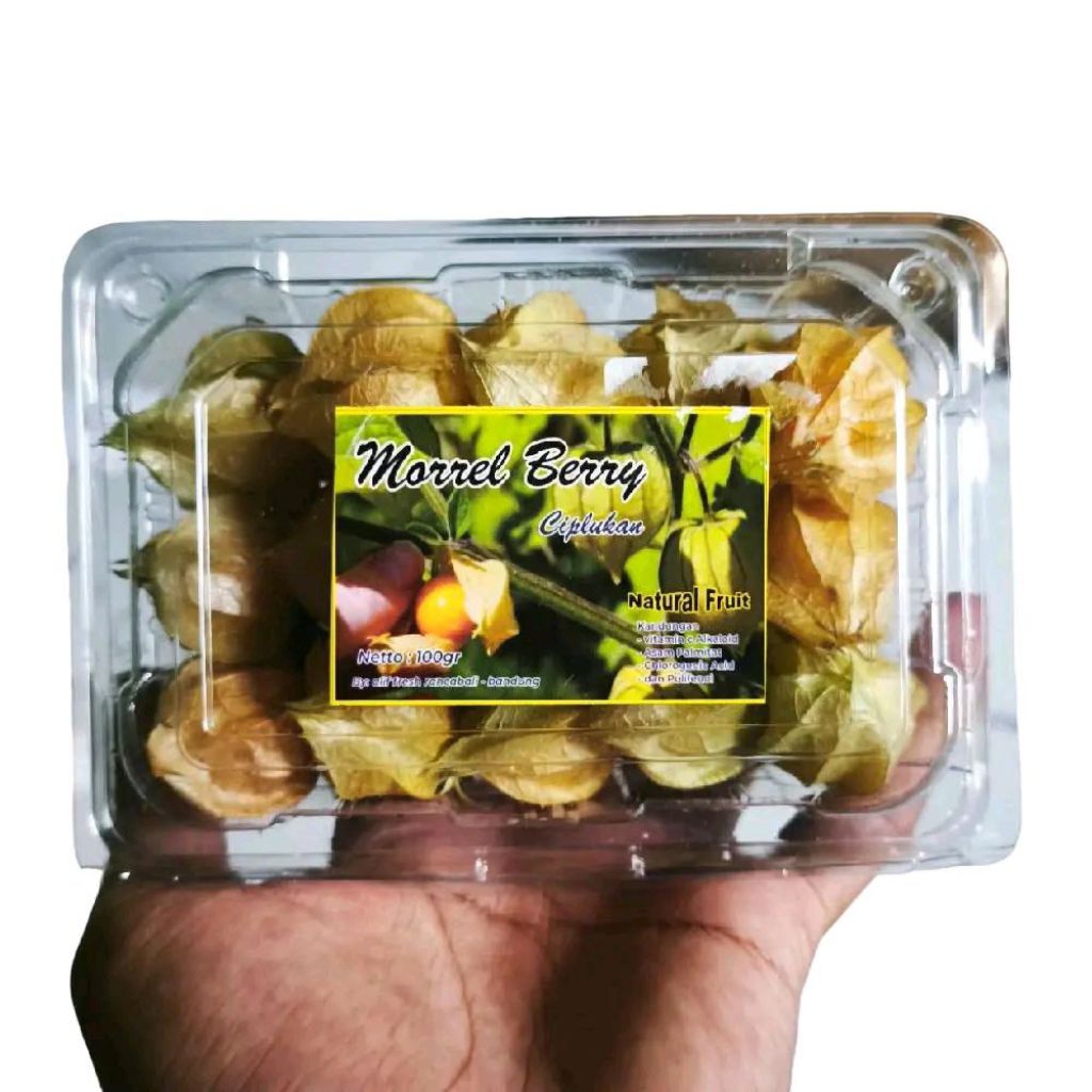 

Buah ciplukan golden berry fresh 1 pack
