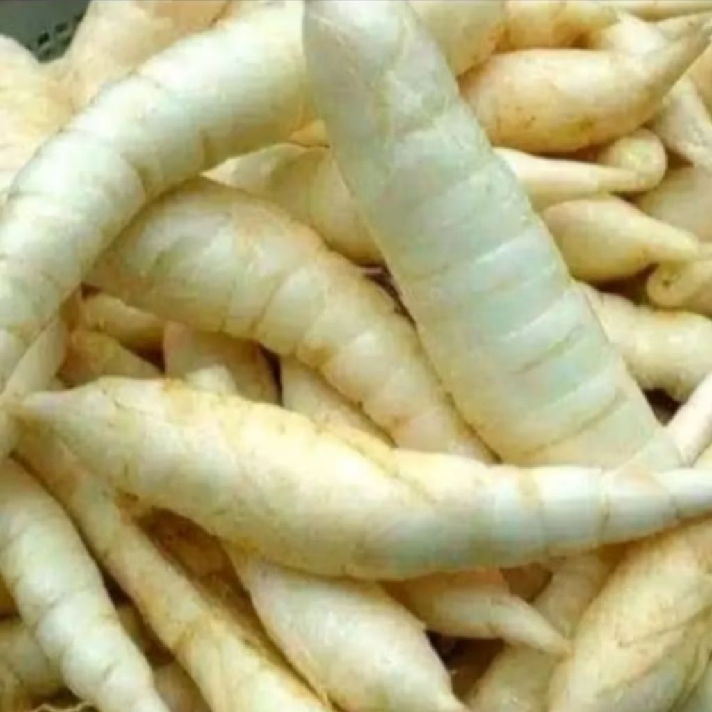 

umbi garut mengatasi lambung 50gram