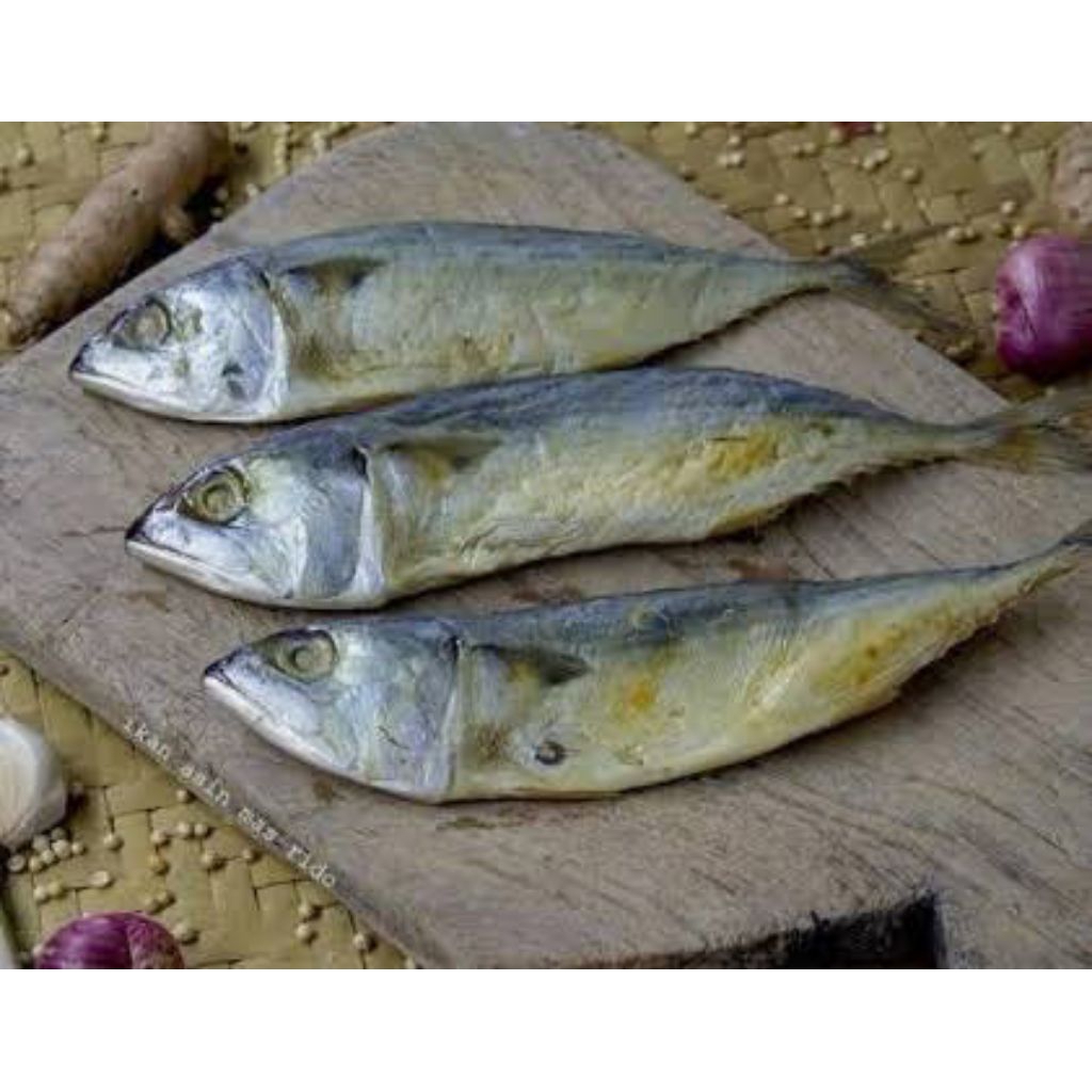 

Ikan Asin Peda 1 ekor