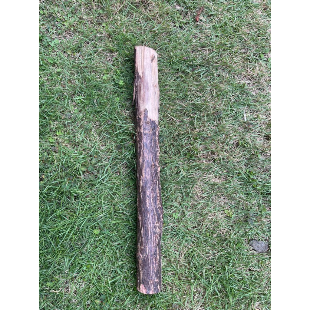 kayu dewandaru