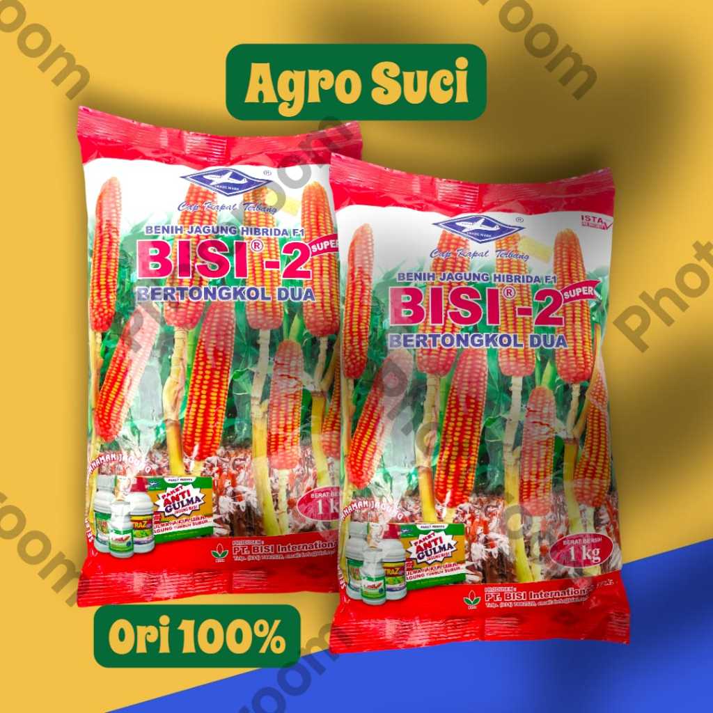 Benih jagung BISI 2
