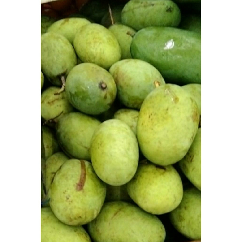 

mangga kweni 5kg keranjang